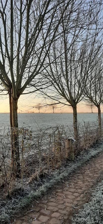 Vakantiewoning Victors Hof Tot 4 Pers Lievegem Dış mekan fotoğraf