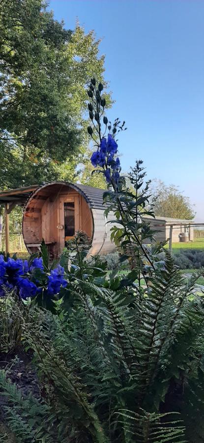 Vakantiewoning Victors Hof Tot 4 Pers Lievegem Dış mekan fotoğraf