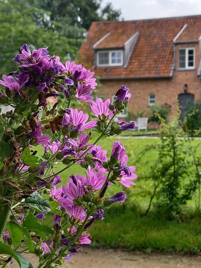 Vakantiewoning Victors Hof Tot 4 Pers Lievegem Dış mekan fotoğraf